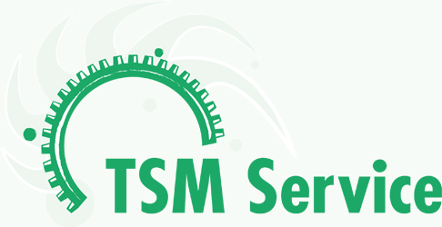 TSM logo